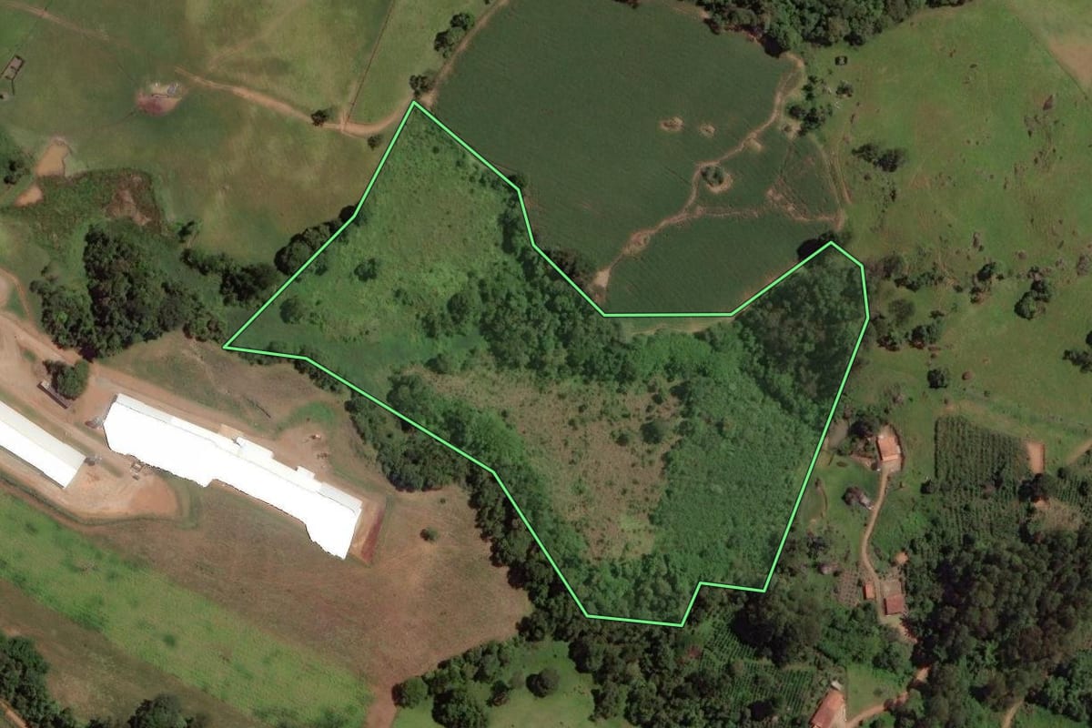 Imagem de satélite do imóvel rural em Socorro (SP), com o contorno declarado no CAR desenhado por cima.