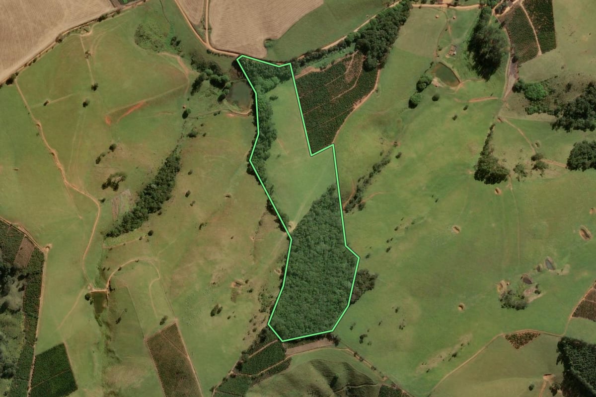 Imagem de satélite do imóvel rural em Socorro (SP), com o contorno declarado no CAR desenhado por cima.