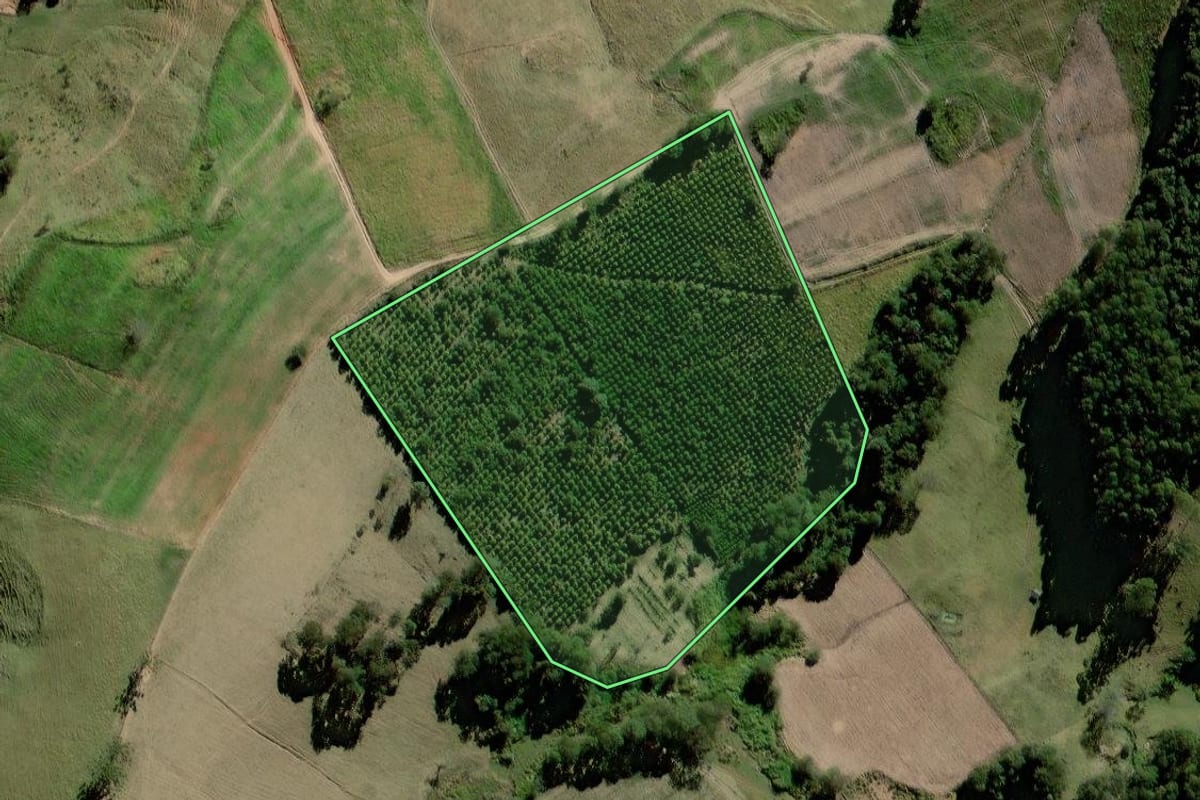 Imagem de satélite do imóvel rural em Socorro (SP), com o contorno declarado no CAR desenhado por cima.