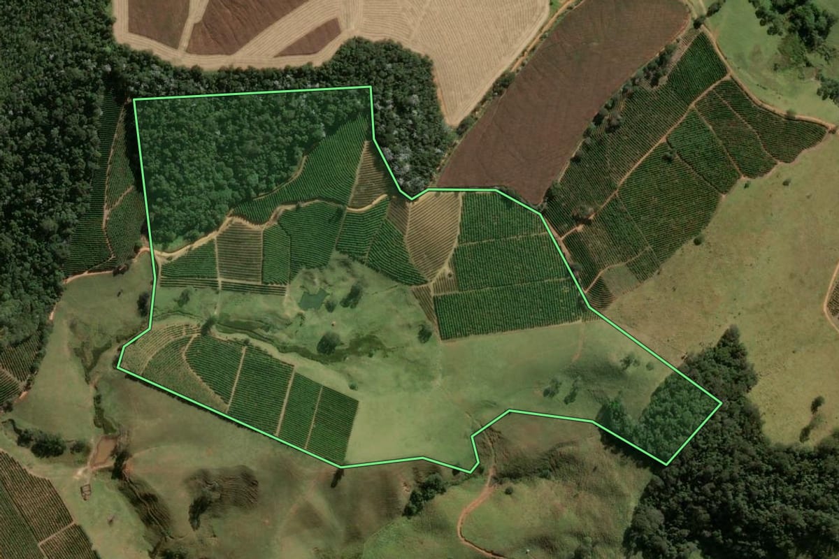 Imagem de satélite do imóvel rural em Socorro (SP), com o contorno declarado no CAR desenhado por cima.