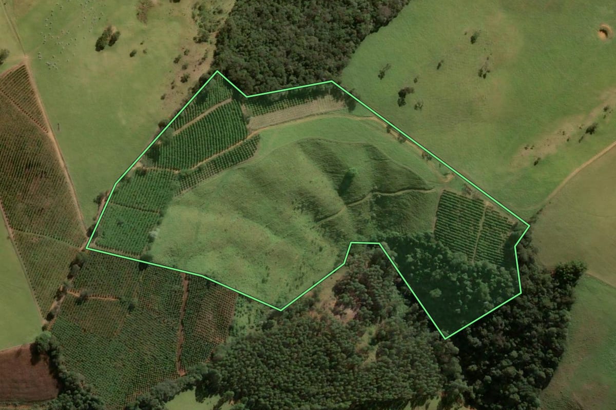 Imagem de satélite do imóvel rural em Socorro (SP), com o contorno declarado no CAR desenhado por cima.