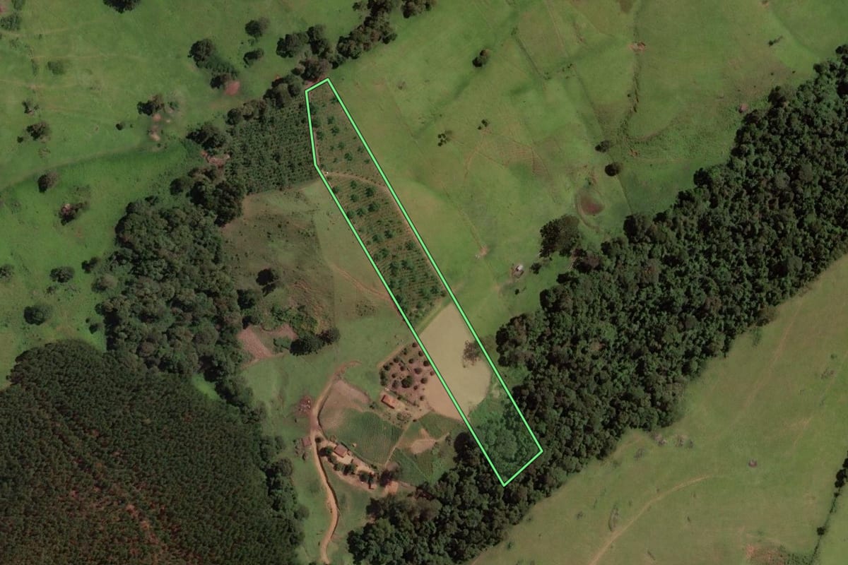 Imagem de satélite do imóvel rural em Socorro (SP), com o contorno declarado no CAR desenhado por cima.