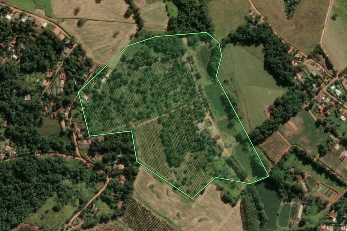 Imagem de satélite do imóvel rural em Socorro (SP), com o contorno declarado no CAR desenhado por cima.