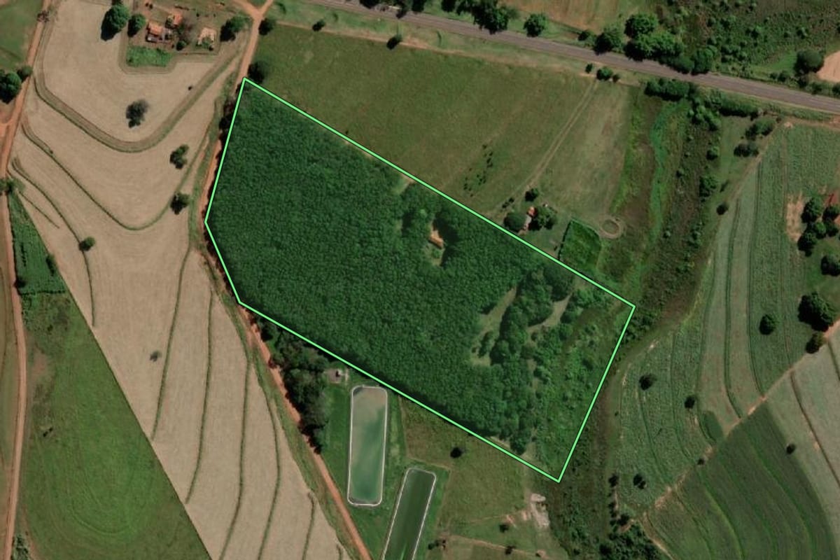 Imagem de satélite do imóvel rural em Sud Mennucci (SP), com o contorno declarado no CAR desenhado por cima.