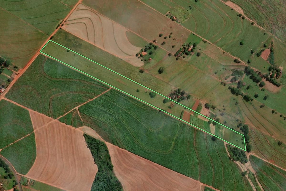 Imagem de satélite do imóvel rural em Sud Mennucci (SP), com o contorno declarado no CAR desenhado por cima.