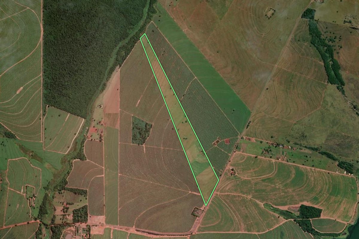 Imagem de satélite do imóvel rural em Sud Mennucci (SP), com o contorno declarado no CAR desenhado por cima.