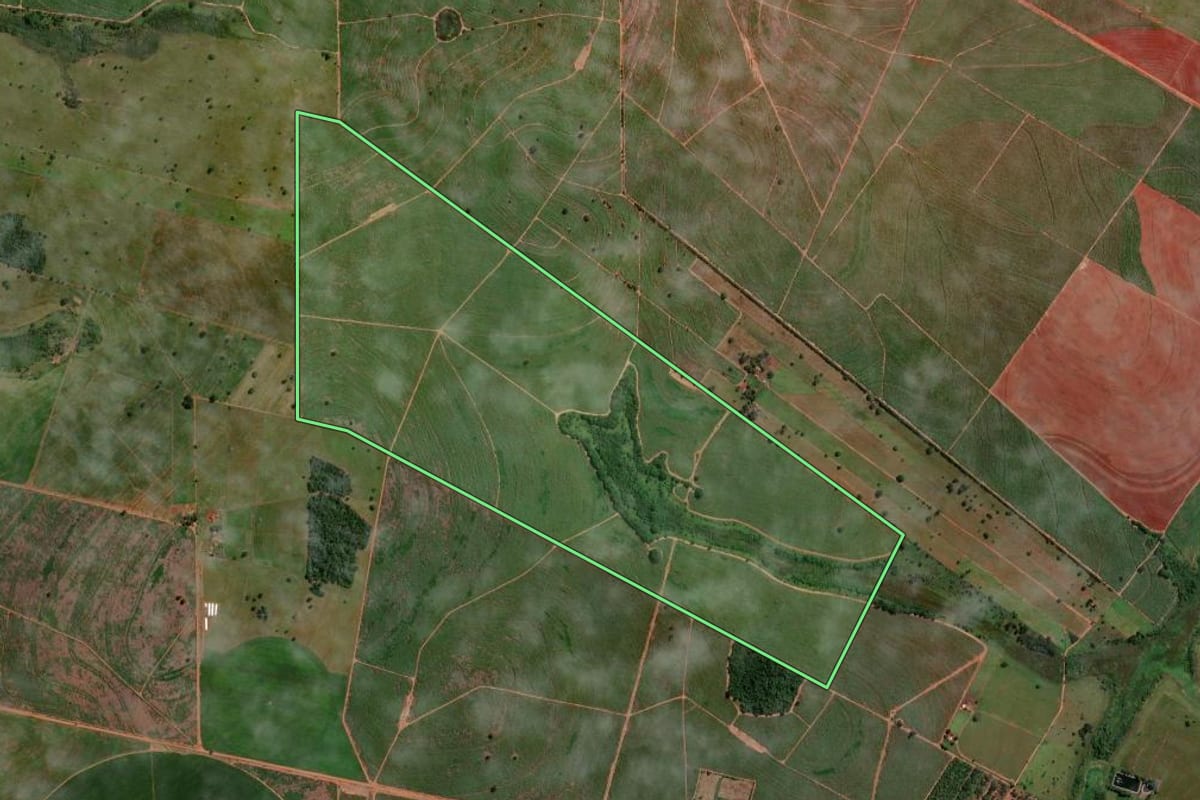 Imagem de satélite do imóvel rural em Sud Mennucci (SP), com o contorno declarado no CAR desenhado por cima.