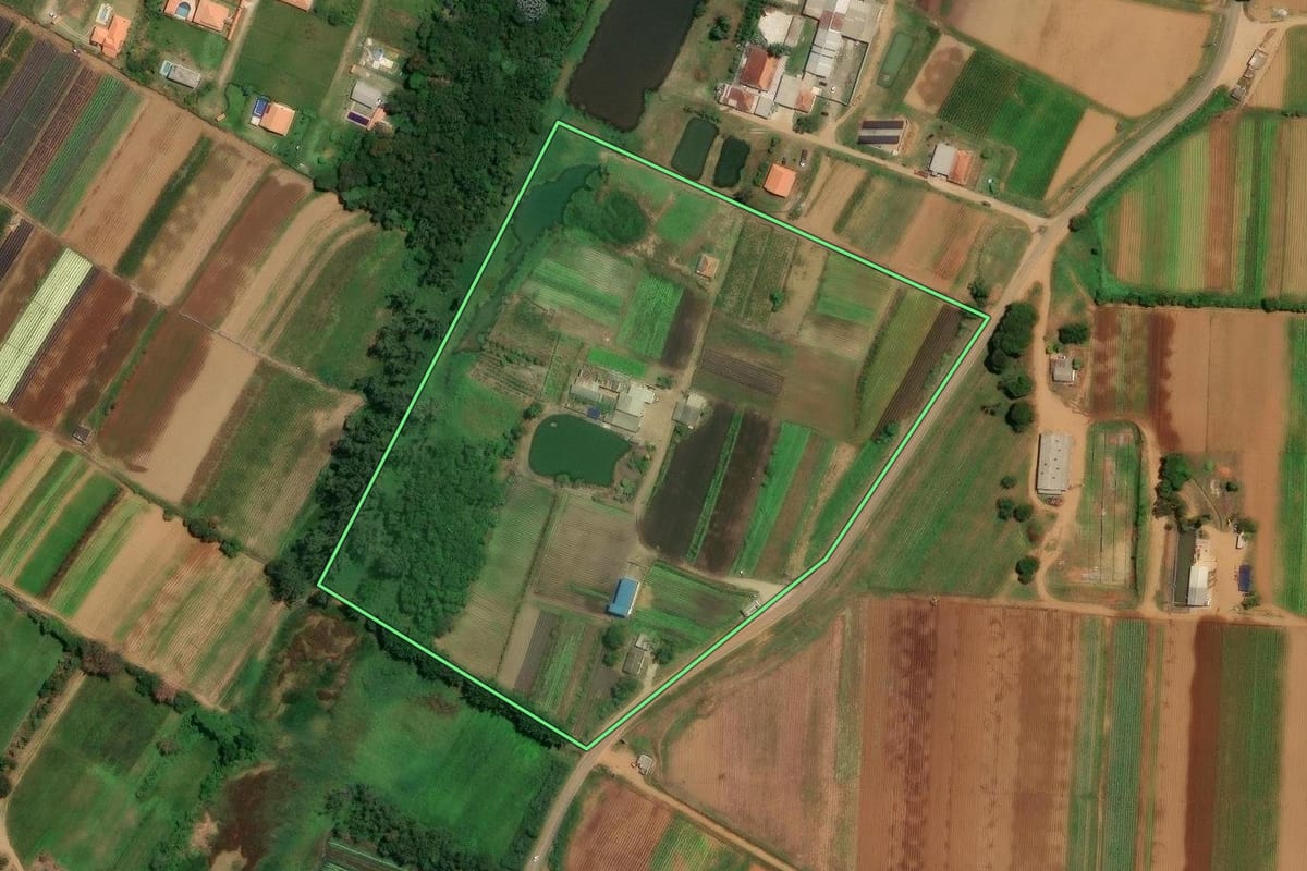 Imagem de satélite do imóvel rural em Suzano (SP), com o contorno declarado no CAR desenhado por cima.