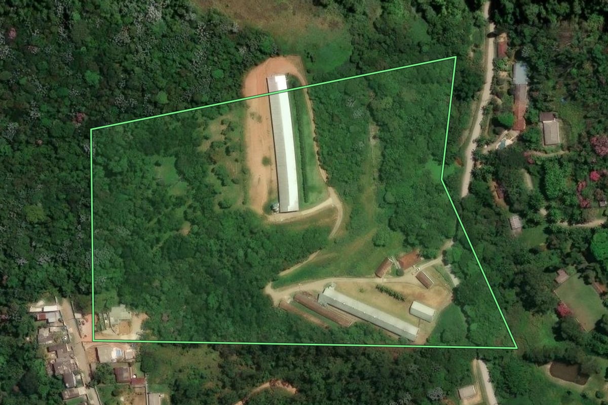 Imagem de satélite do imóvel rural em Suzano (SP), com o contorno declarado no CAR desenhado por cima.