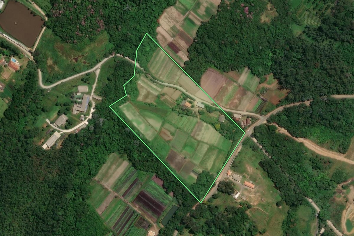 Imagem de satélite do imóvel rural em Suzano (SP), com o contorno declarado no CAR desenhado por cima.