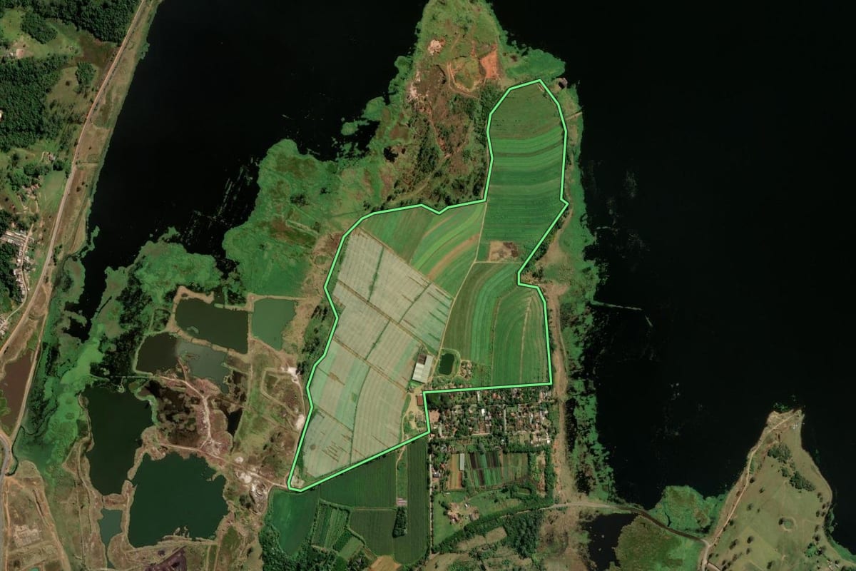 Imagem de satélite do imóvel rural em Suzano (SP), com o contorno declarado no CAR desenhado por cima.