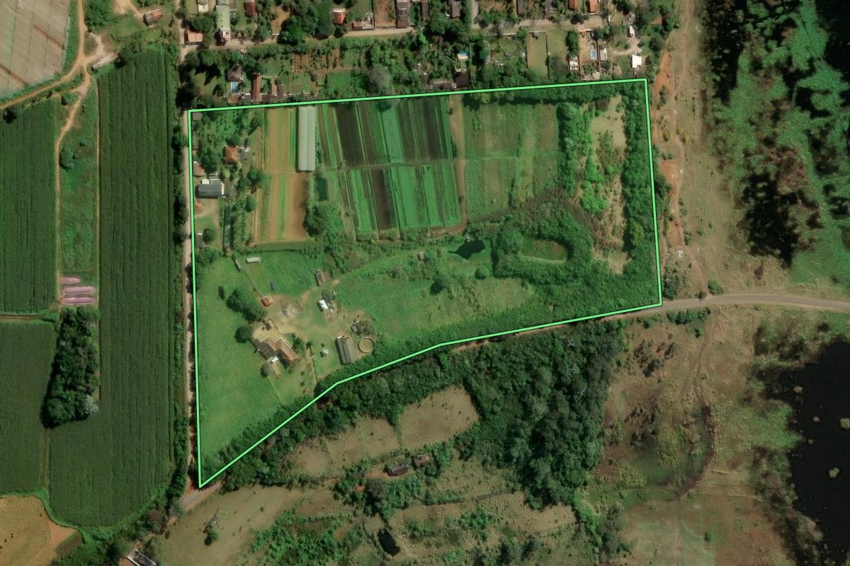 Imagem de satélite do imóvel rural em Suzano (SP), com o contorno declarado no CAR desenhado por cima.