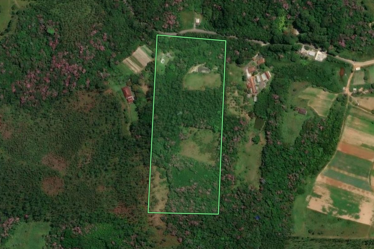 Imagem de satélite do imóvel rural em Suzano (SP), com o contorno declarado no CAR desenhado por cima.