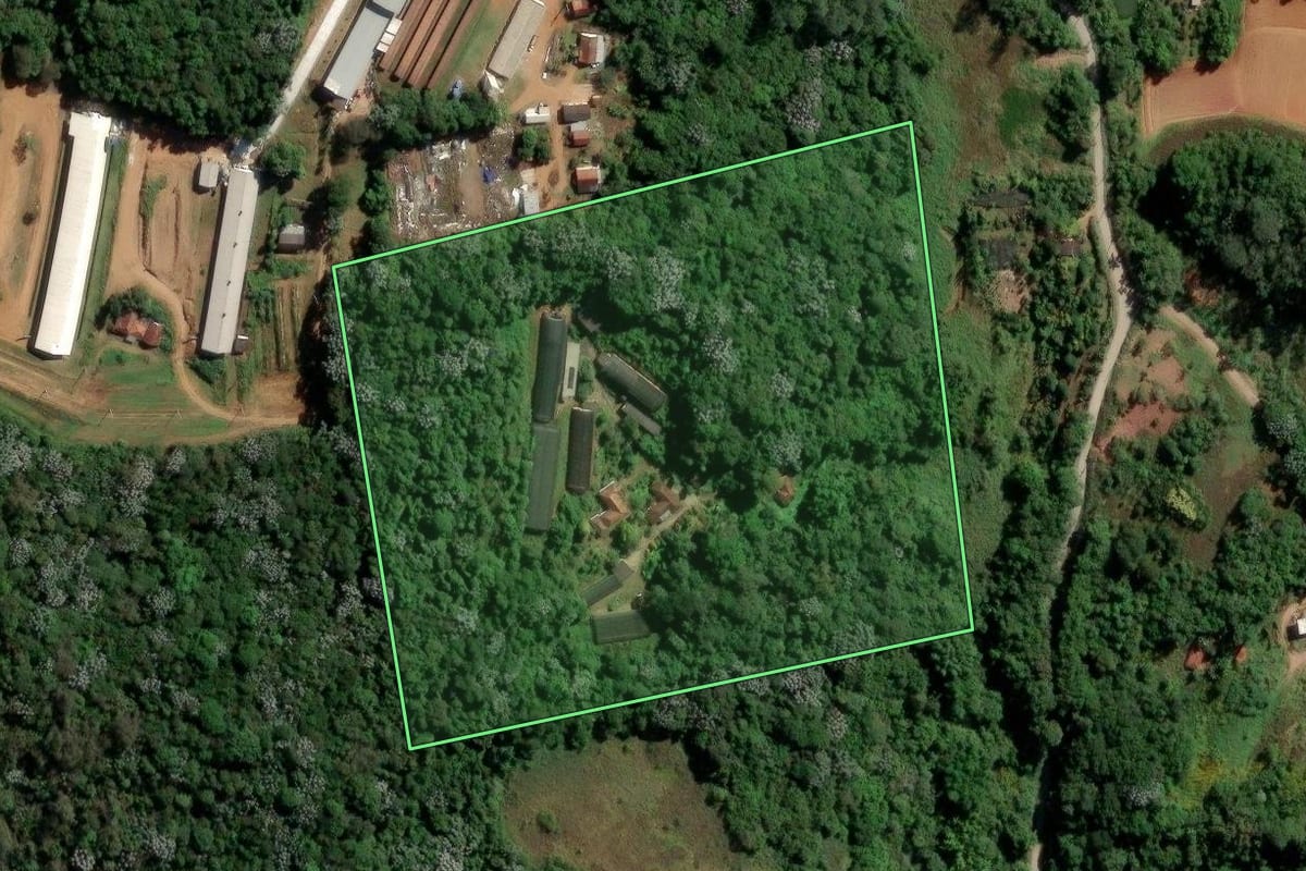 Imagem de satélite do imóvel rural em Suzano (SP), com o contorno declarado no CAR desenhado por cima.