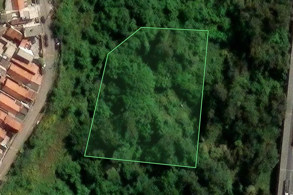 Imagem de satélite do imóvel rural em Suzano (SP), com o contorno declarado no CAR desenhado por cima.