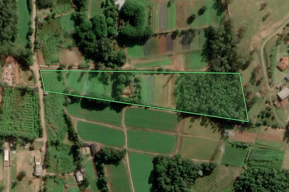 Imagem de satélite do imóvel rural em Suzano (SP), com o contorno declarado no CAR desenhado por cima.