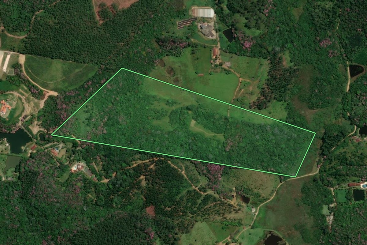 Imagem de satélite do imóvel rural em Suzano (SP), com o contorno declarado no CAR desenhado por cima.