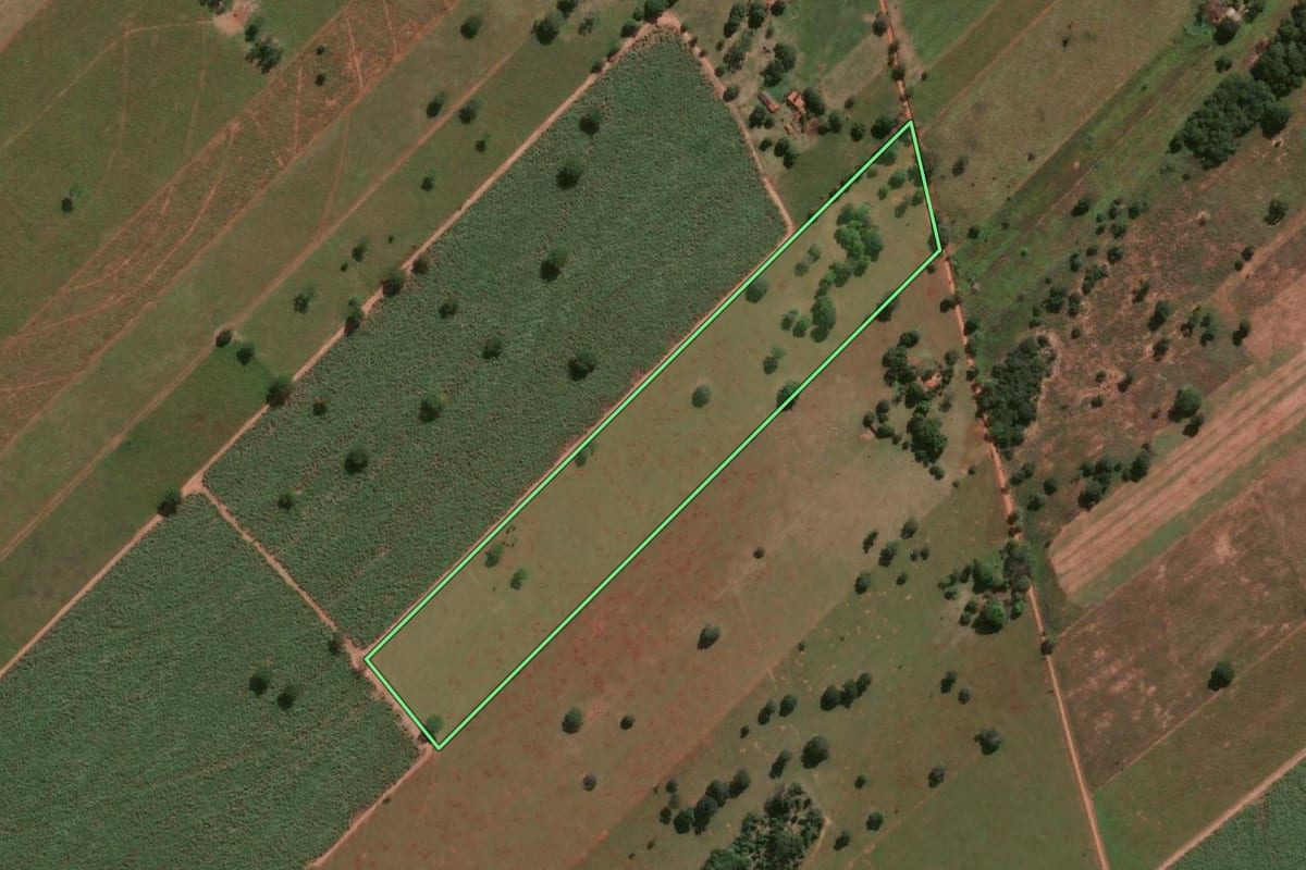Imagem de satélite do imóvel rural em Suzanápolis (SP), com o contorno declarado no CAR desenhado por cima.