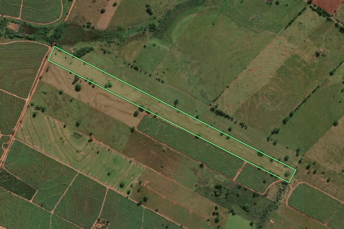 Imagem de satélite do imóvel rural em Suzanápolis (SP), com o contorno declarado no CAR desenhado por cima.