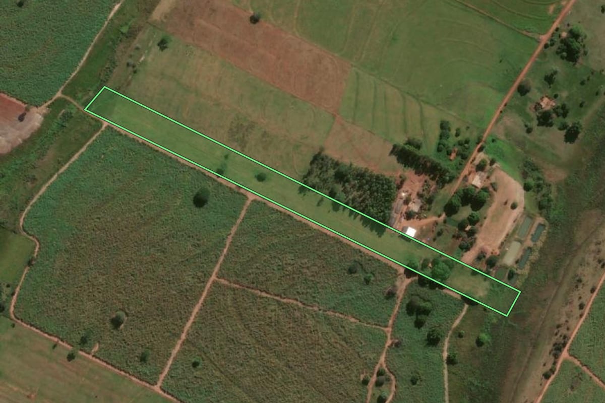 Imagem de satélite do imóvel rural em Suzanápolis (SP), com o contorno declarado no CAR desenhado por cima.