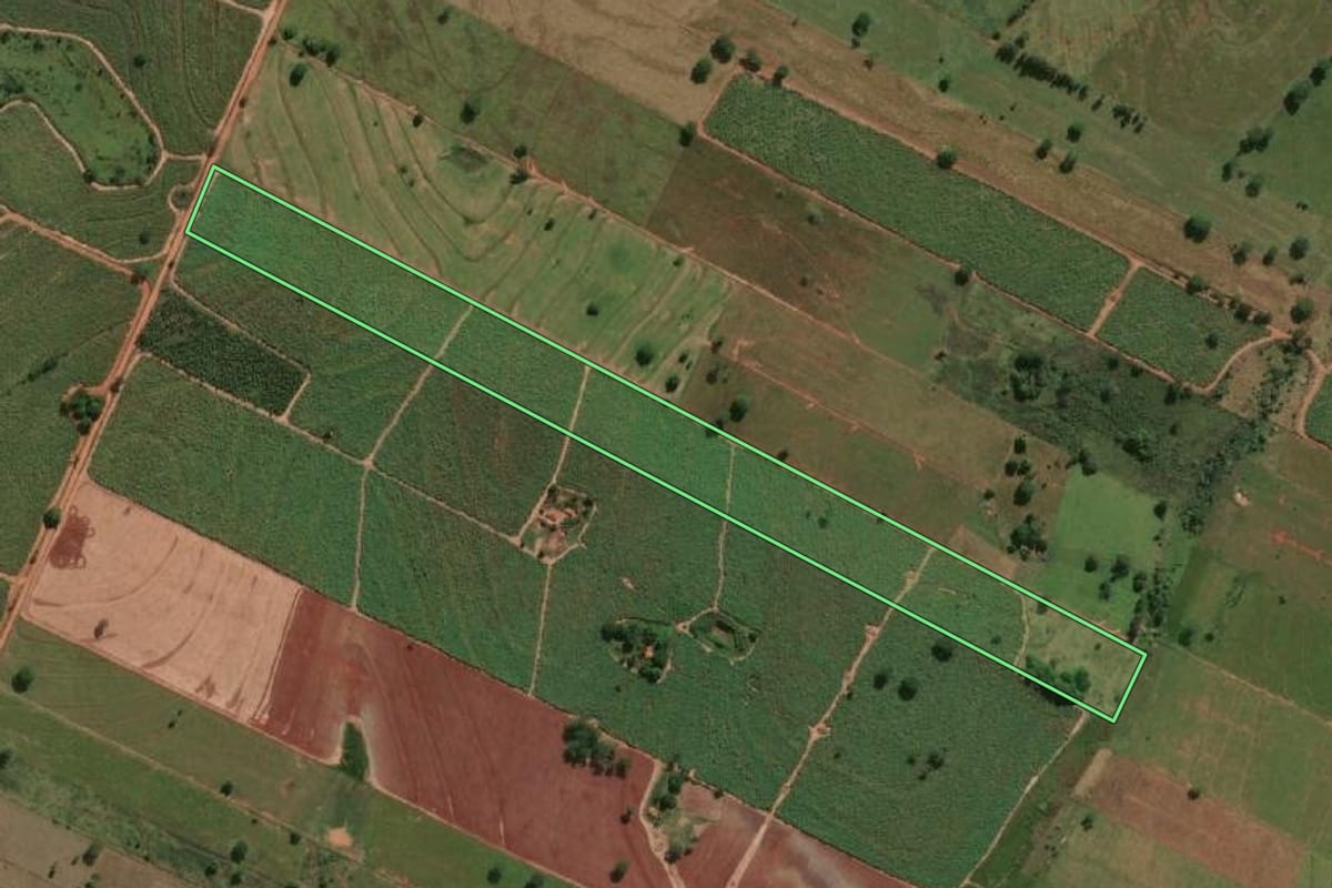 Imagem de satélite do imóvel rural em Suzanápolis (SP), com o contorno declarado no CAR desenhado por cima.