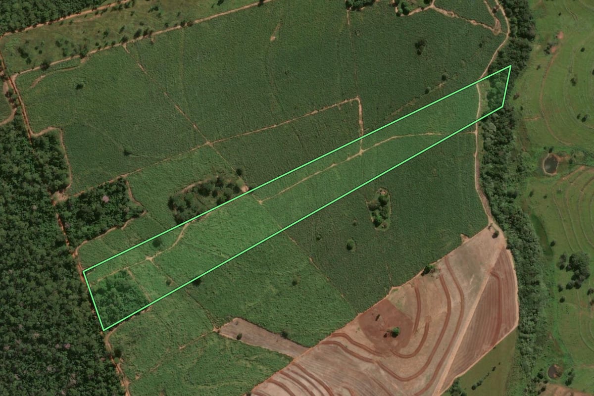 Imagem de satélite do imóvel rural em Suzanápolis (SP), com o contorno declarado no CAR desenhado por cima.