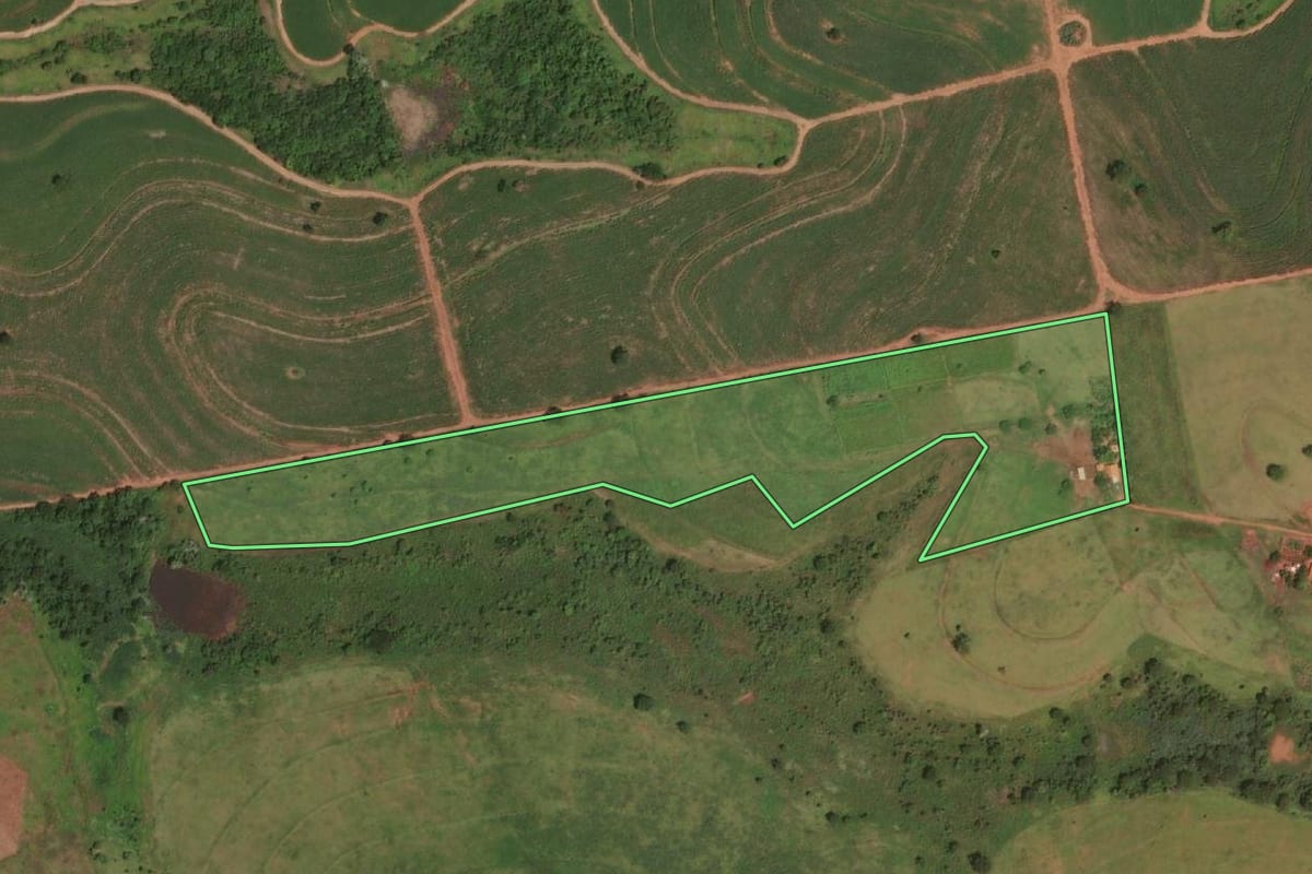 Imagem de satélite do imóvel rural em Suzanápolis (SP), com o contorno declarado no CAR desenhado por cima.