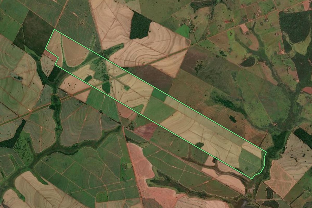 Imagem de satélite do imóvel rural em Suzanápolis (SP), com o contorno declarado no CAR desenhado por cima.