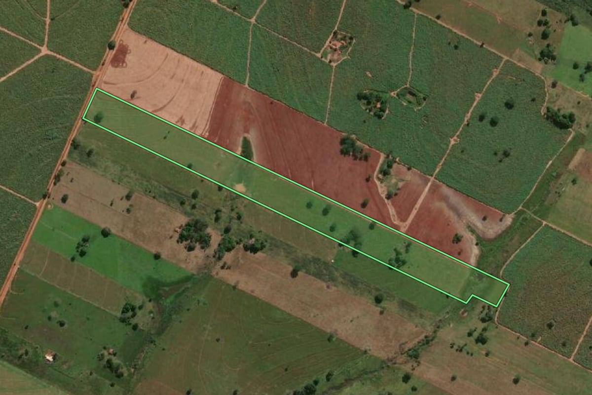 Imagem de satélite do imóvel rural em Suzanápolis (SP), com o contorno declarado no CAR desenhado por cima.