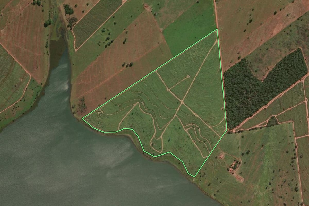 Imagem de satélite do imóvel rural em Suzanápolis (SP), com o contorno declarado no CAR desenhado por cima.