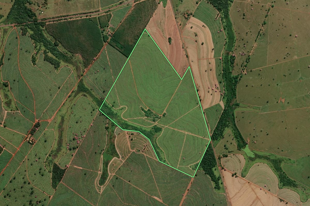 Imagem de satélite do imóvel rural em Suzanápolis (SP), com o contorno declarado no CAR desenhado por cima.