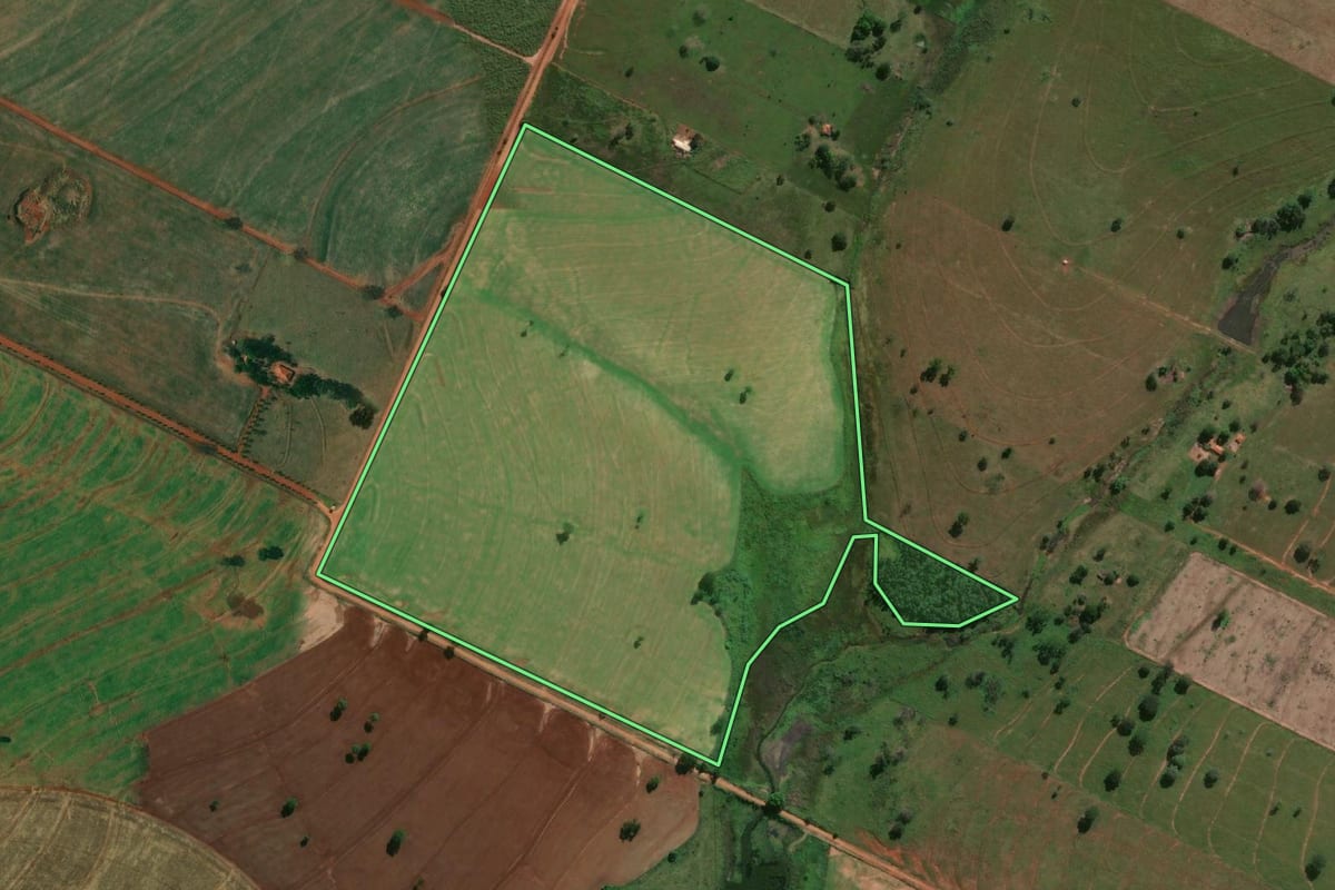 Imagem de satélite do imóvel rural em Suzanápolis (SP), com o contorno declarado no CAR desenhado por cima.