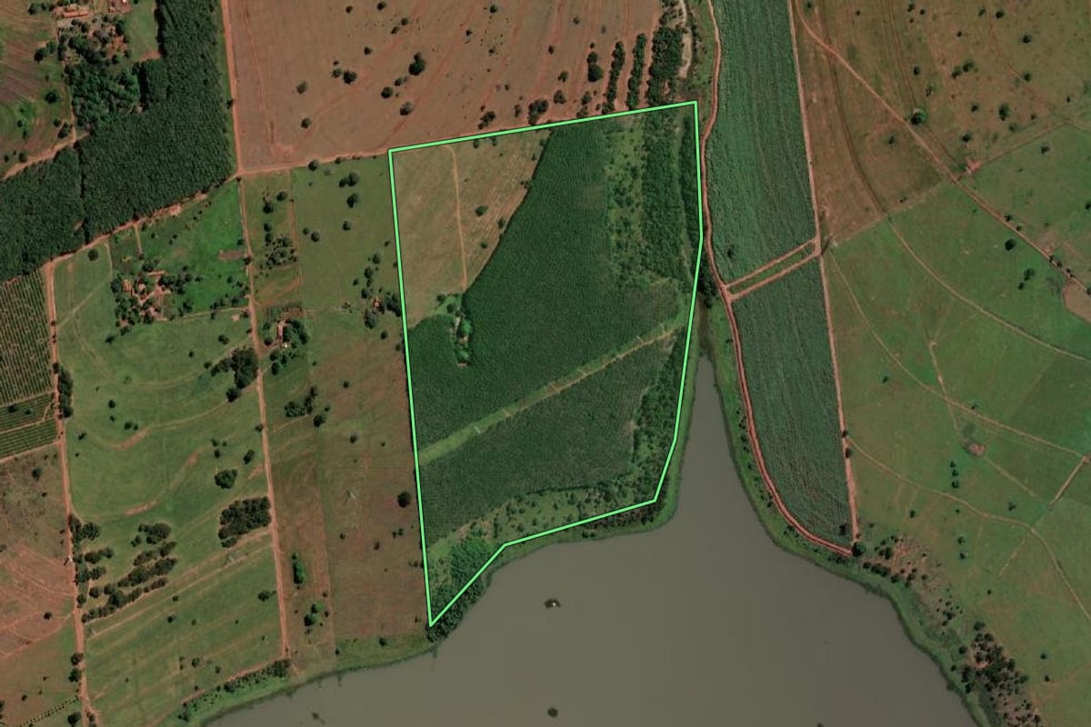 Imagem de satélite do imóvel rural em Suzanápolis (SP), com o contorno declarado no CAR desenhado por cima.