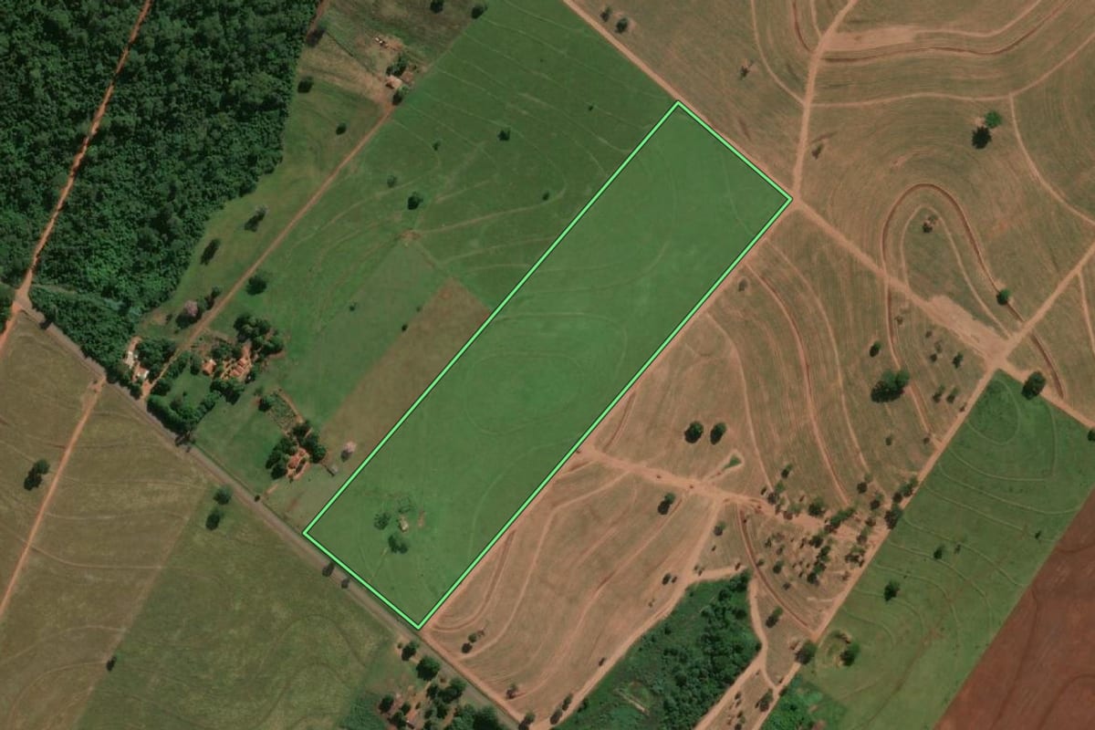 Imagem de satélite do imóvel rural em Suzanápolis (SP), com o contorno declarado no CAR desenhado por cima.