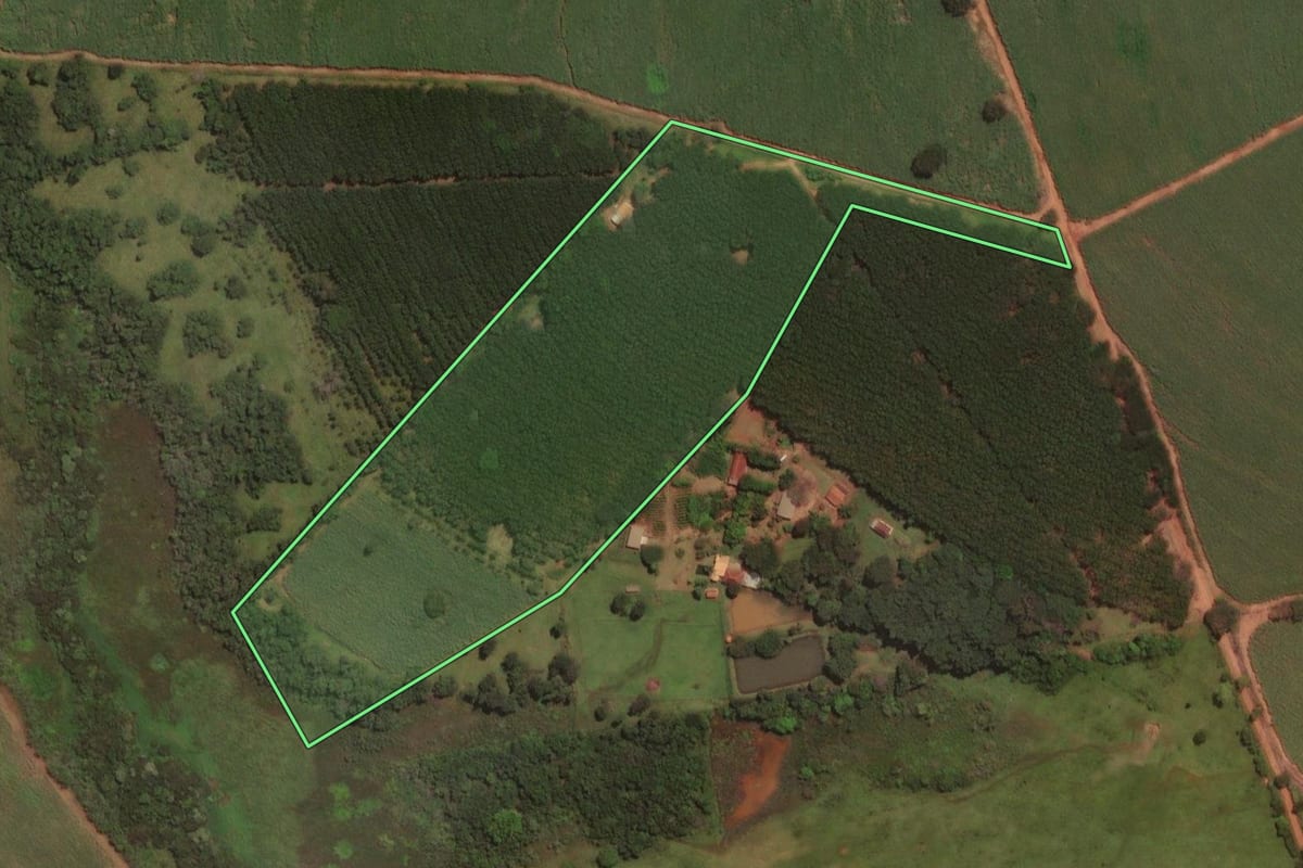 Imagem de satélite do imóvel rural em Tabapuã (SP), com o contorno declarado no CAR desenhado por cima.