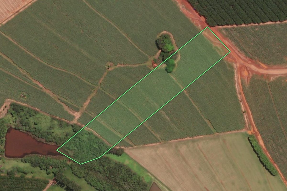 Imagem de satélite do imóvel rural em Tabapuã (SP), com o contorno declarado no CAR desenhado por cima.