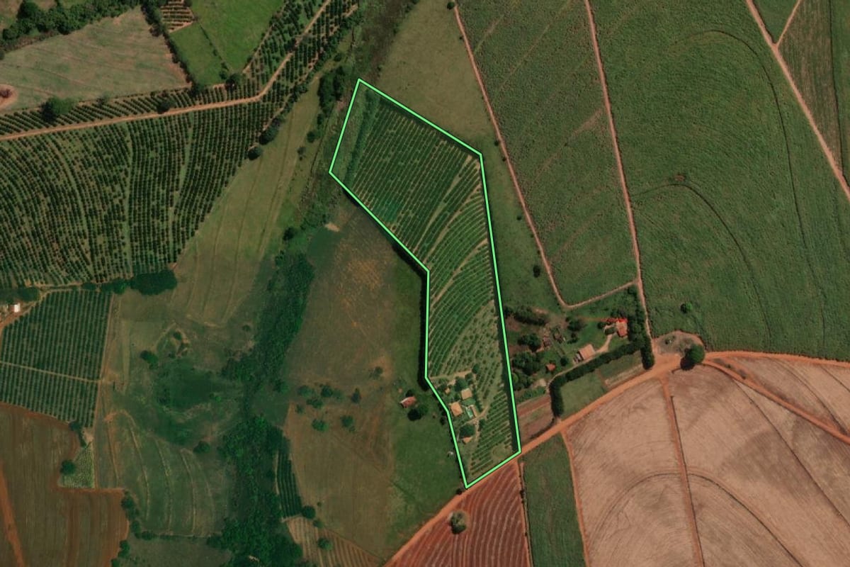 Imagem de satélite do imóvel rural em Tabapuã (SP), com o contorno declarado no CAR desenhado por cima.