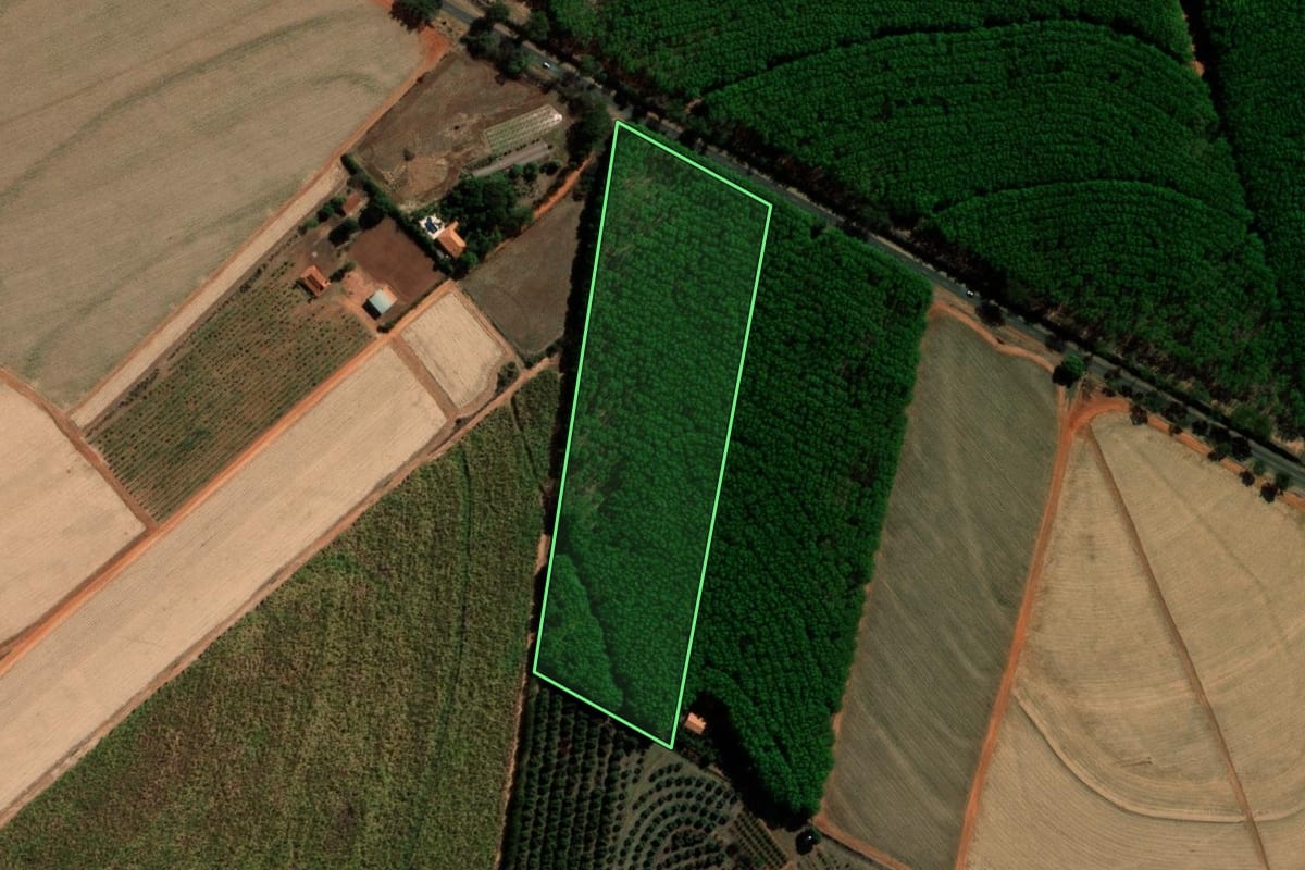 Imagem de satélite do imóvel rural em Tabapuã (SP), com o contorno declarado no CAR desenhado por cima.
