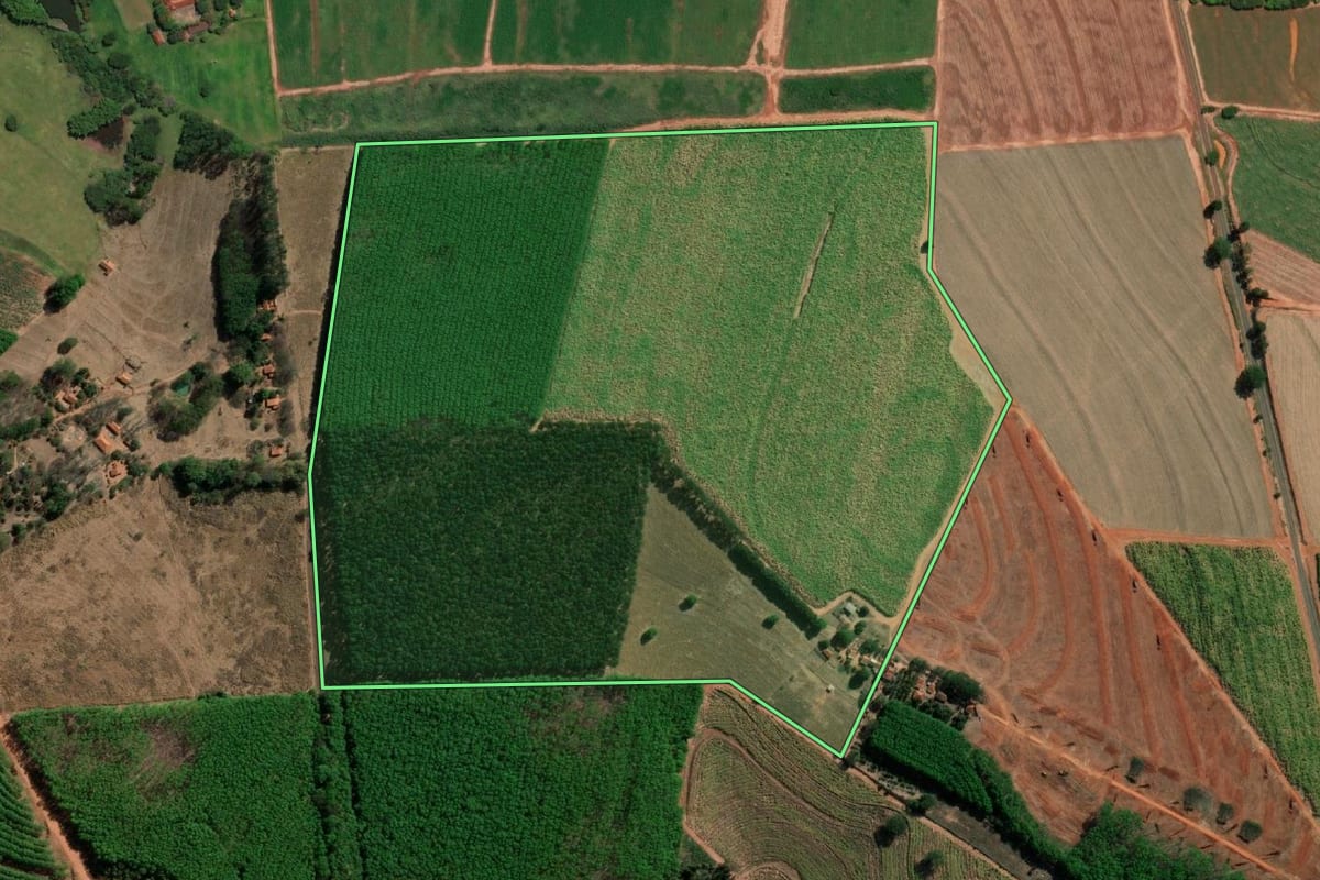 Imagem de satélite do imóvel rural em Tabapuã (SP), com o contorno declarado no CAR desenhado por cima.