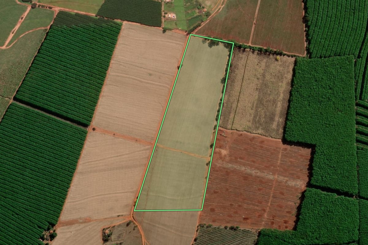 Imagem de satélite do imóvel rural em Tabapuã (SP), com o contorno declarado no CAR desenhado por cima.
