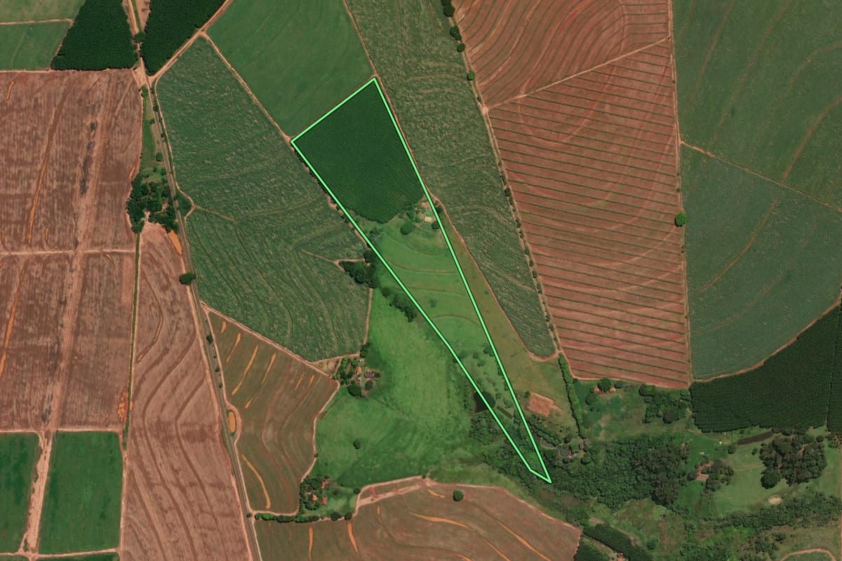 Imagem de satélite do imóvel rural em Tabapuã (SP), com o contorno declarado no CAR desenhado por cima.