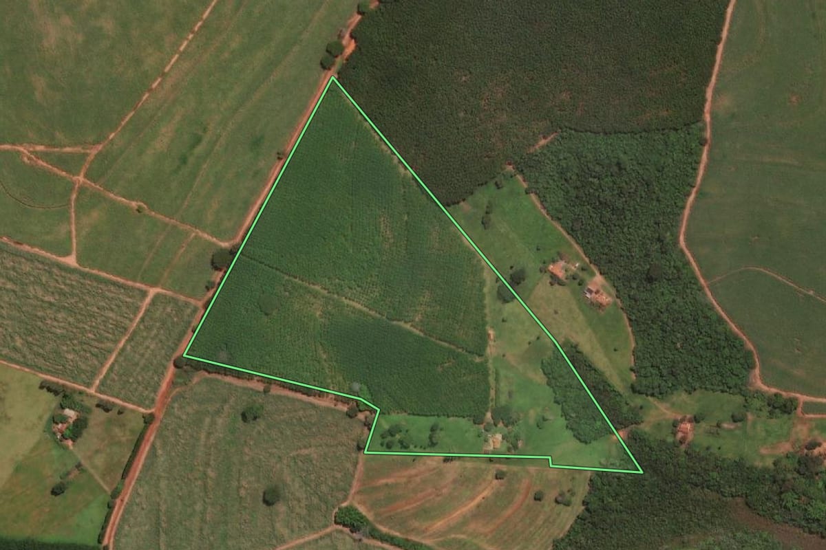 Imagem de satélite do imóvel rural em Tabapuã (SP), com o contorno declarado no CAR desenhado por cima.