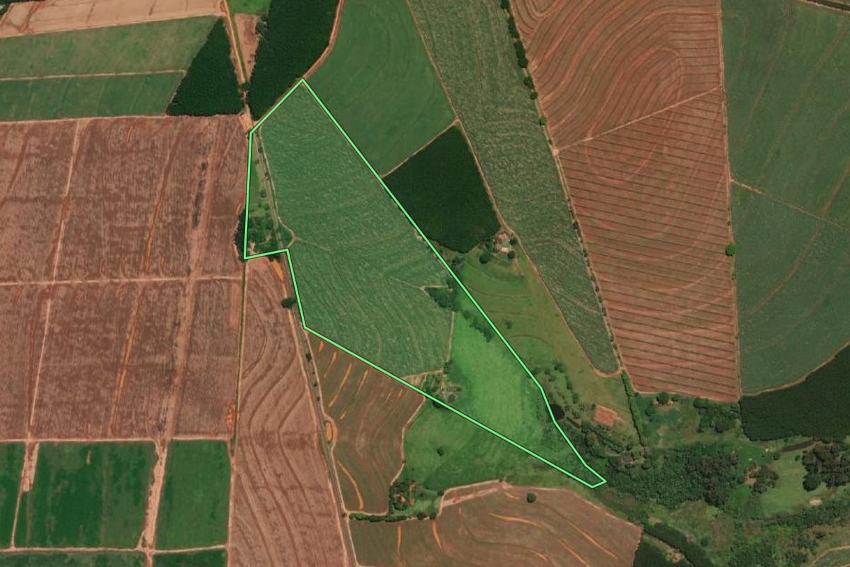 Imagem de satélite do imóvel rural em Tabapuã (SP), com o contorno declarado no CAR desenhado por cima.