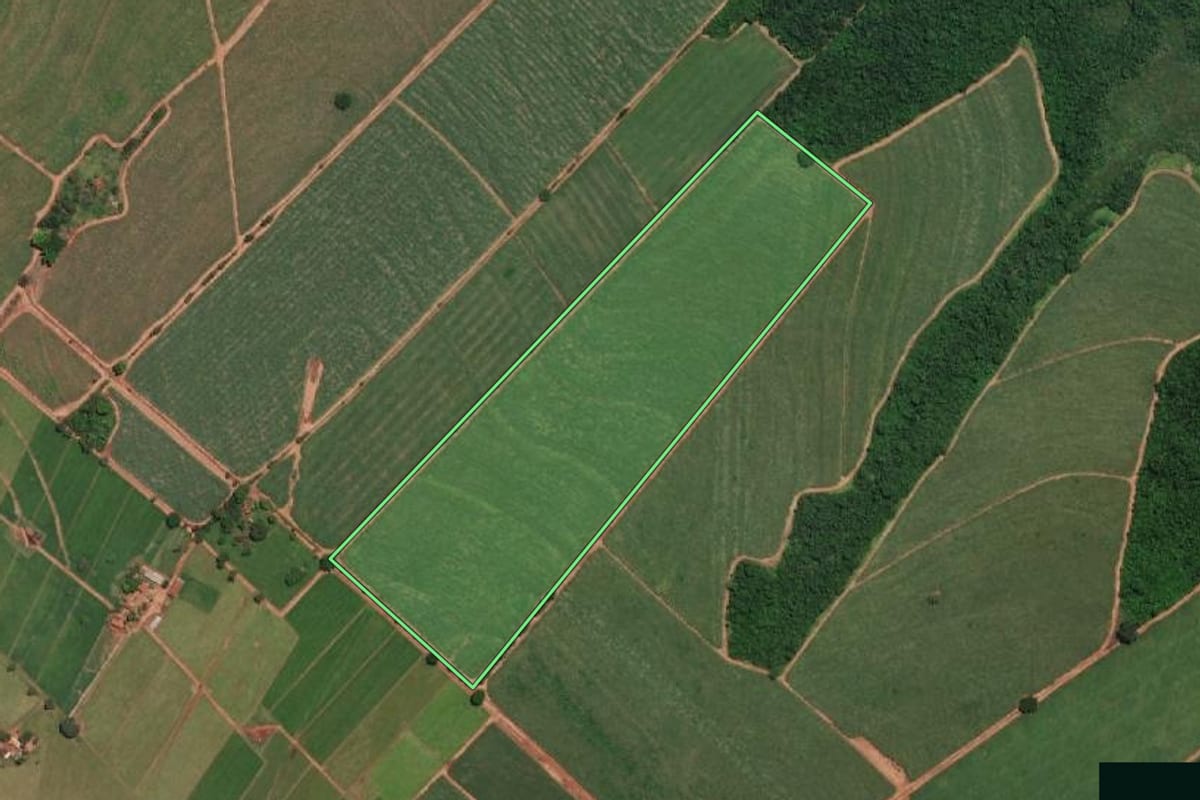 Imagem de satélite do imóvel rural em Tabapuã (SP), com o contorno declarado no CAR desenhado por cima.