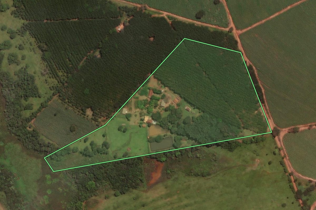 Imagem de satélite do imóvel rural em Tabapuã (SP), com o contorno declarado no CAR desenhado por cima.