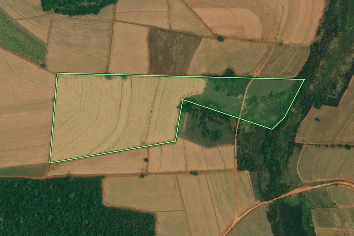 Imagem de satélite do imóvel rural em Tabapuã (SP), com o contorno declarado no CAR desenhado por cima.