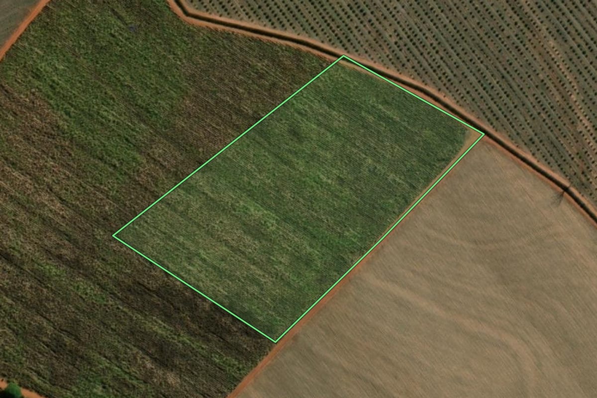 Imagem de satélite do imóvel rural em Tabapuã (SP), com o contorno declarado no CAR desenhado por cima.