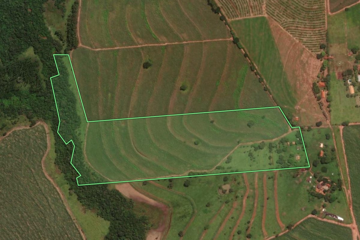 Imagem de satélite do imóvel rural em Tabapuã (SP), com o contorno declarado no CAR desenhado por cima.