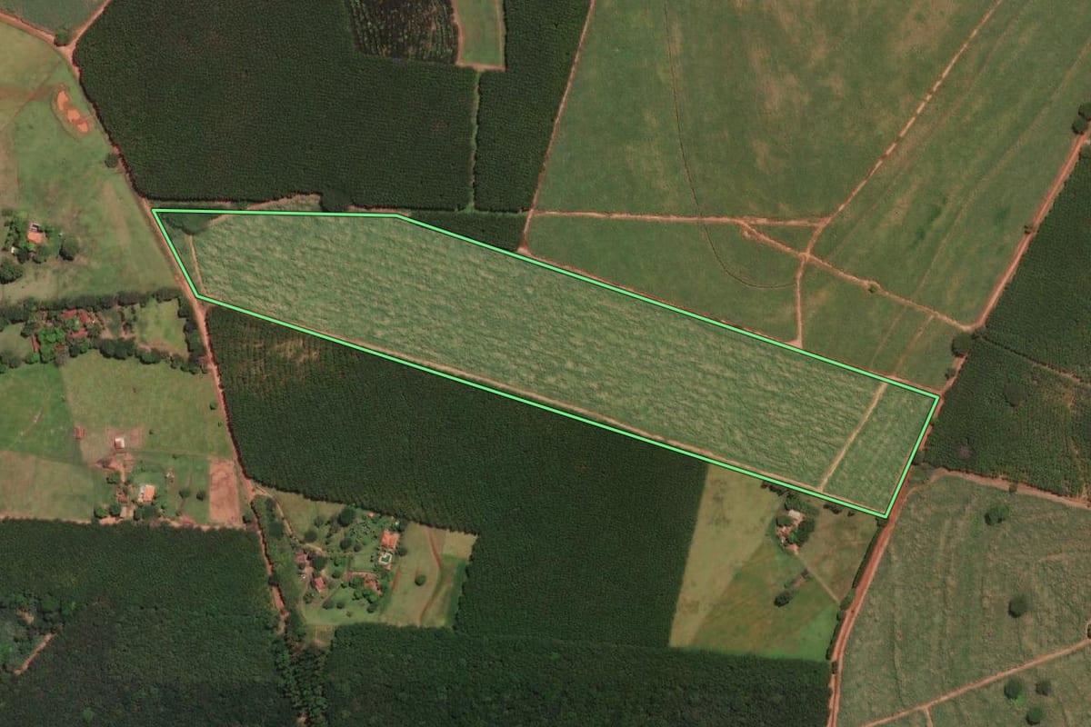 Imagem de satélite do imóvel rural em Tabapuã (SP), com o contorno declarado no CAR desenhado por cima.