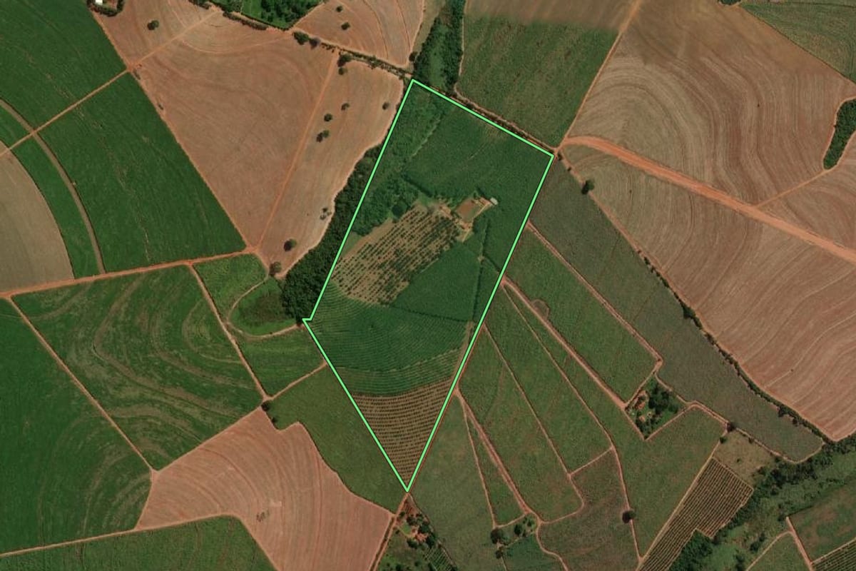 Imagem de satélite do imóvel rural em Tabapuã (SP), com o contorno declarado no CAR desenhado por cima.